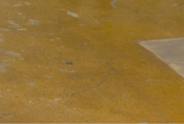 Visch Scenography Design